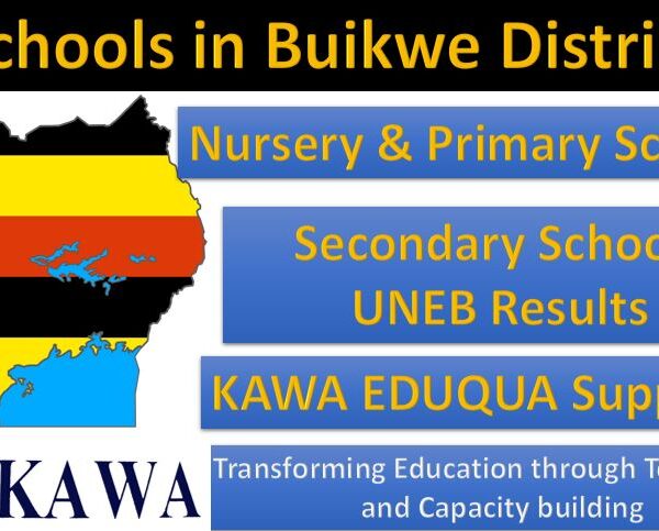 Top Schools in Buikwe District 2020 UCE Results